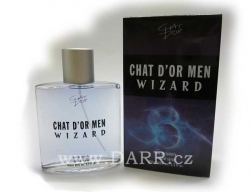 CHAT D´OR Men Wizard toaletní voda 100 ml