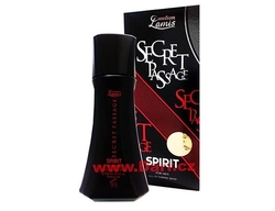Creation Lamis Secret Passage Spirit pánská toaletní voda 100 ml