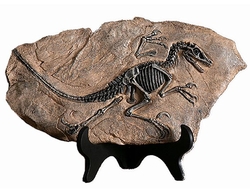 Fosilní figurka dinosaura odlitek pryskyřice 17x31 cm