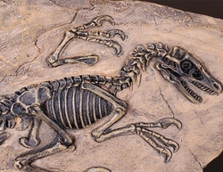 Fosilní figurka dinosaura odlitek pryskyřice 17x31 cm