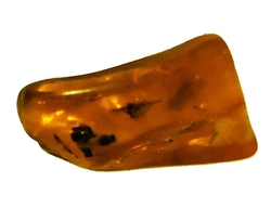 Jantar baltský 4-cca 3,18 g-3x1,7x1 cm