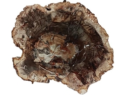 Zkamenělé dřevo - cca 480 g - 16x13x1,5 cm